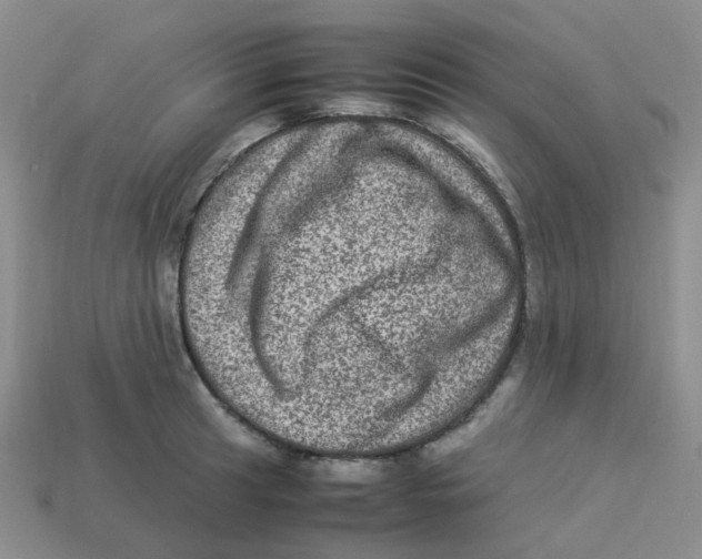 X0000113331041200910131144