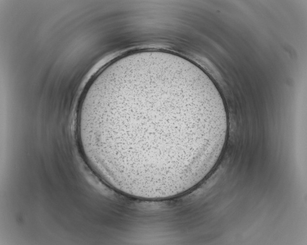 X0000113331044200910131144