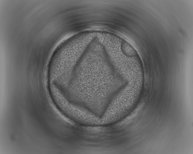 X0000113331045200910131144