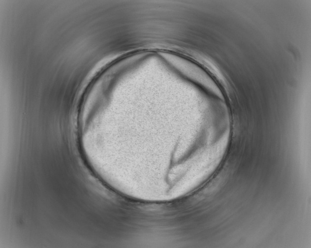 X0000113331048200910131144