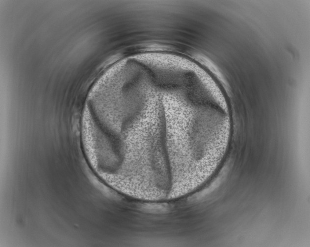 X0000113331049200910131144