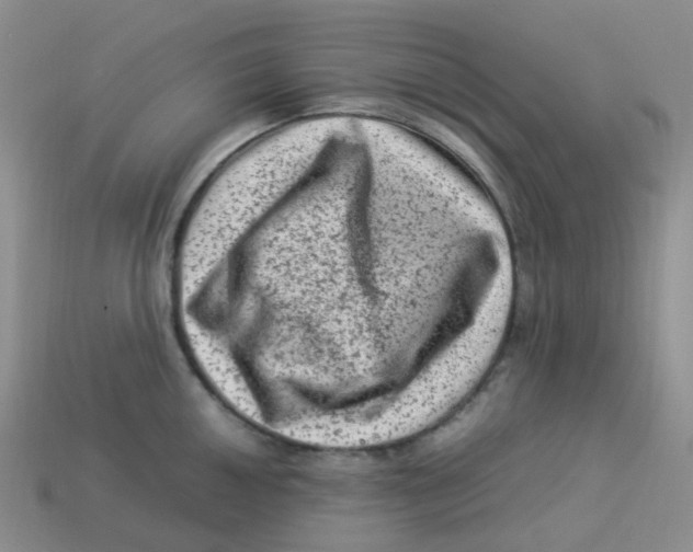 X0000113331050200910131144
