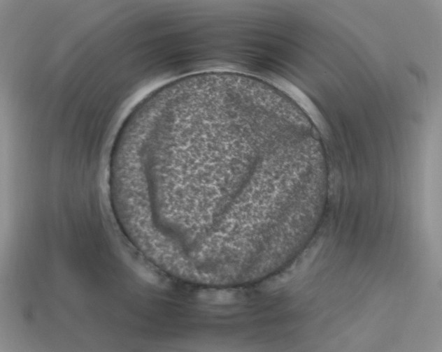X0000113331051200910131144