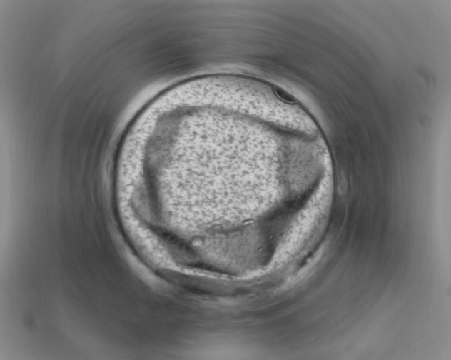 X0000113331054200910131145