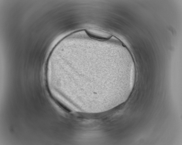 X0000113331056200910131145