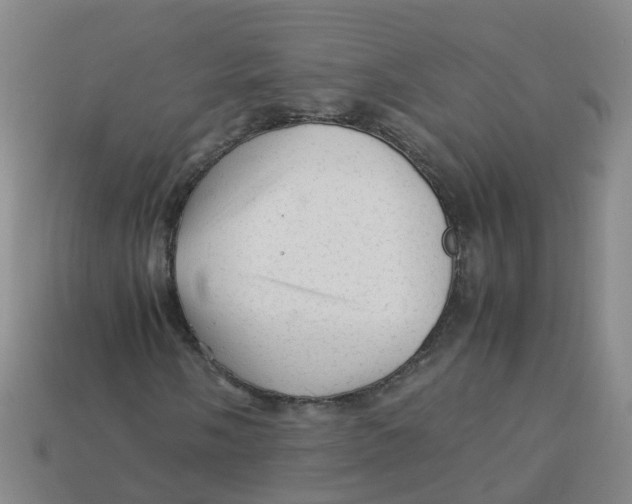 X0000113331058200910131144
