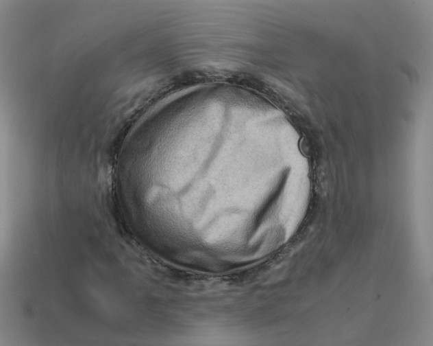 X0000113331061200910131144