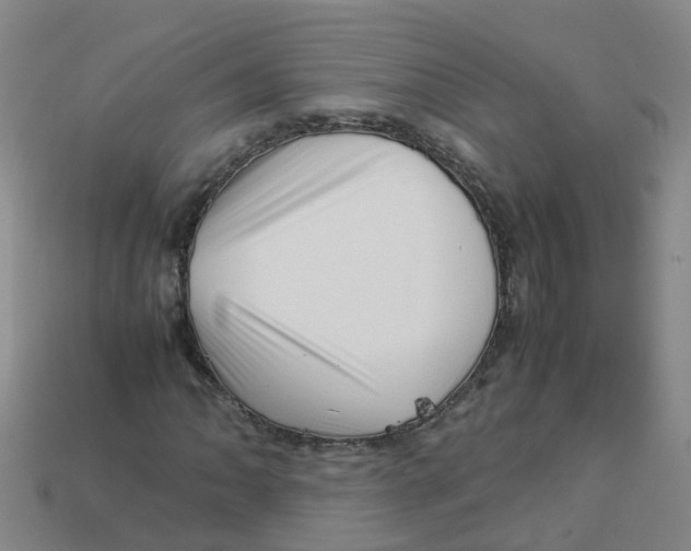 X0000113331062200910131144