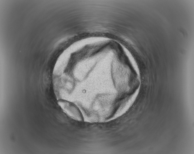 X0000113331063200910131144