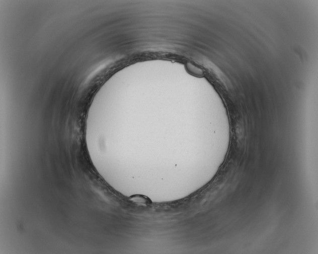 X0000113331064200910131144