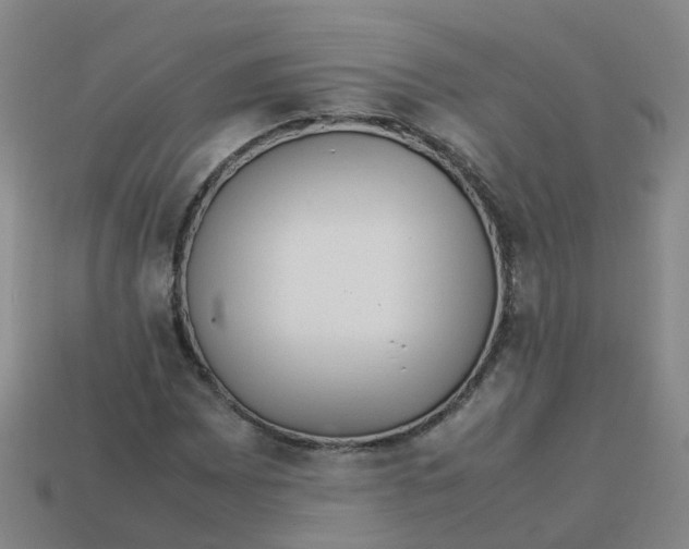 X0000113331065200910131144