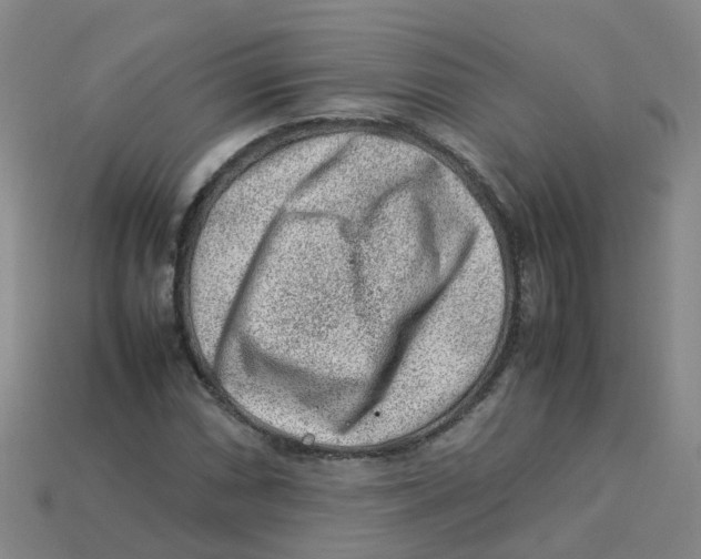 X0000113331066200910131144