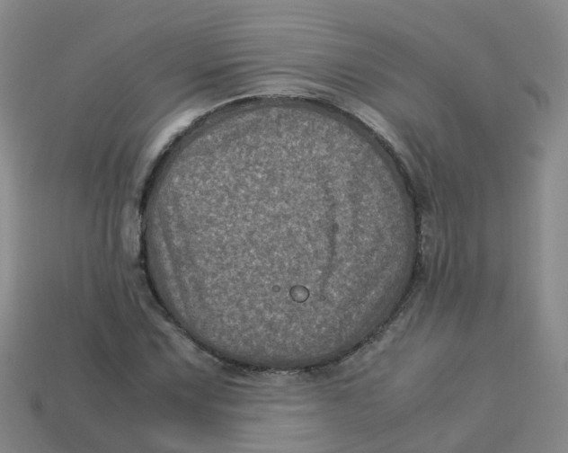 X0000113331067200910131144