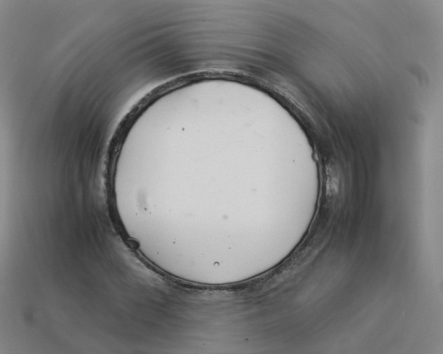 X0000113331068200910131144