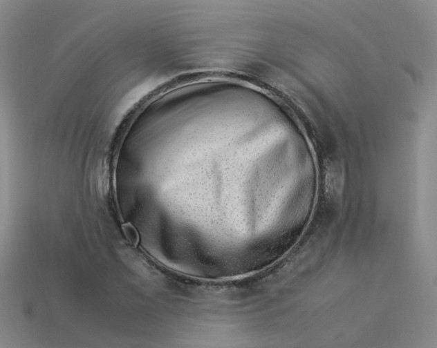 X0000113331069200910131144