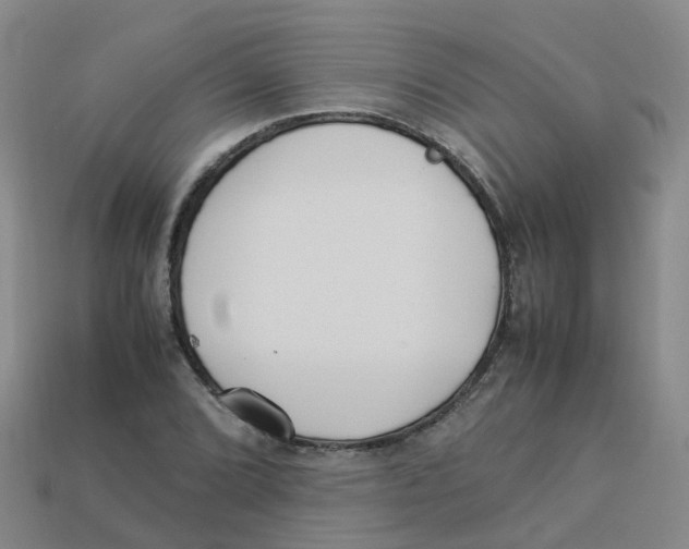 X0000113331072200910131144