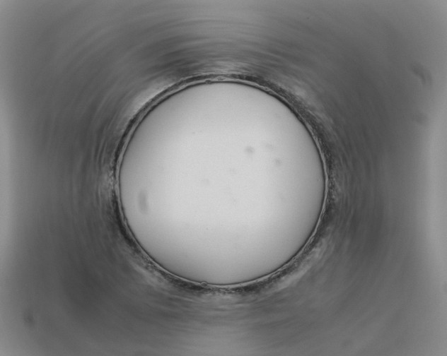 X0000113331073200910131144