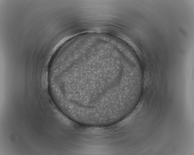 X0000113331075200910131144