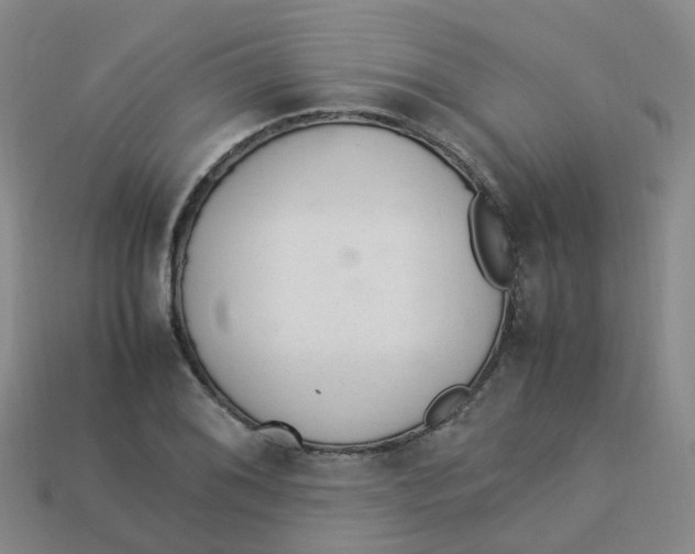 X0000113331076200910131144
