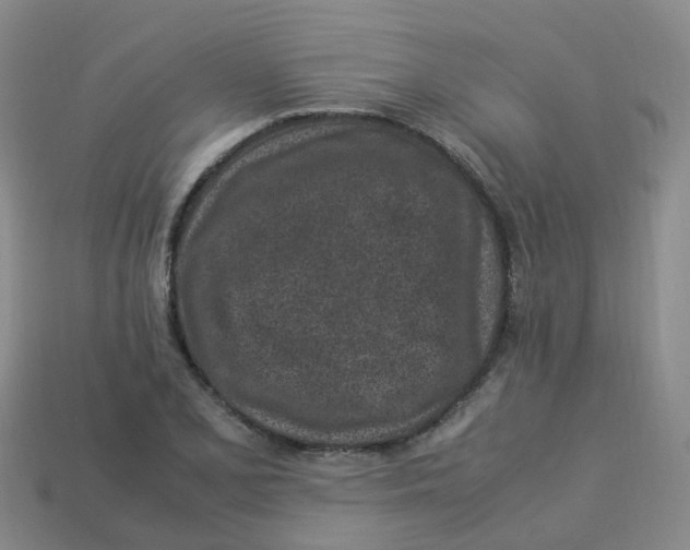 X0000113331077200910131144