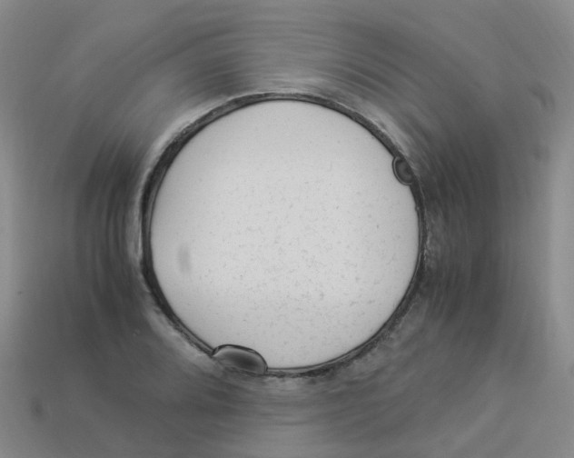 X0000113331080200910131144