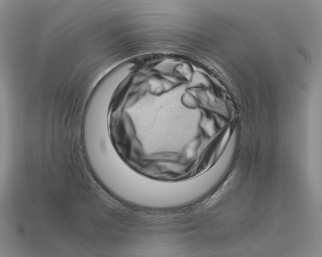 X0000113331081200910131144