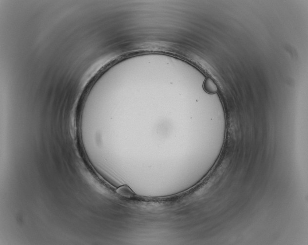 X0000113331082200910131144