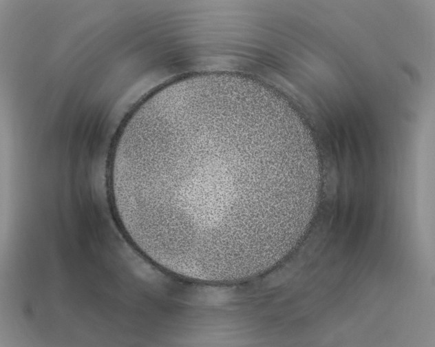 X0000113331086200910131144