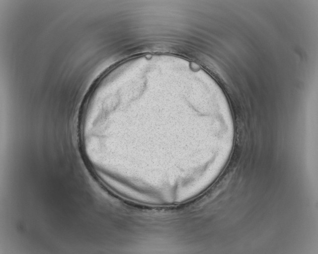 X0000113331087200910131144