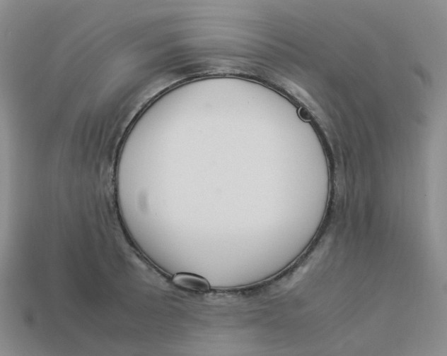 X0000113331089200910131144