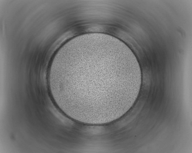 X0000113331090200910131143