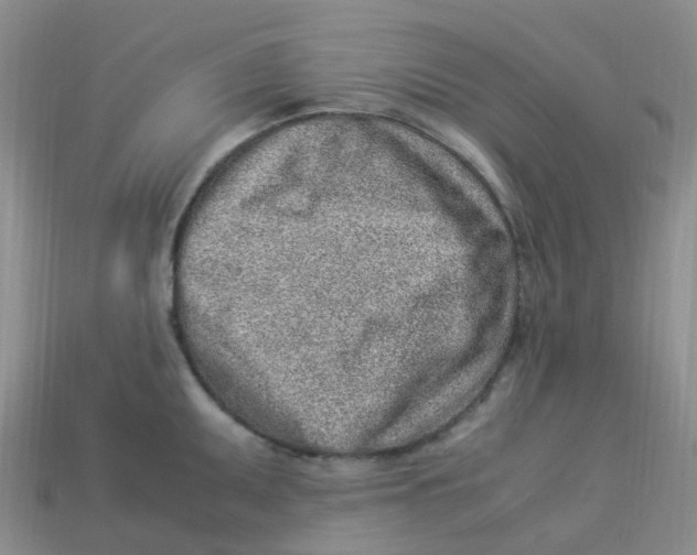 X0000113331095200910131143