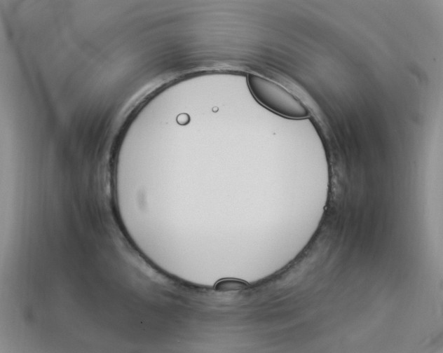 X0000113331096200910131143