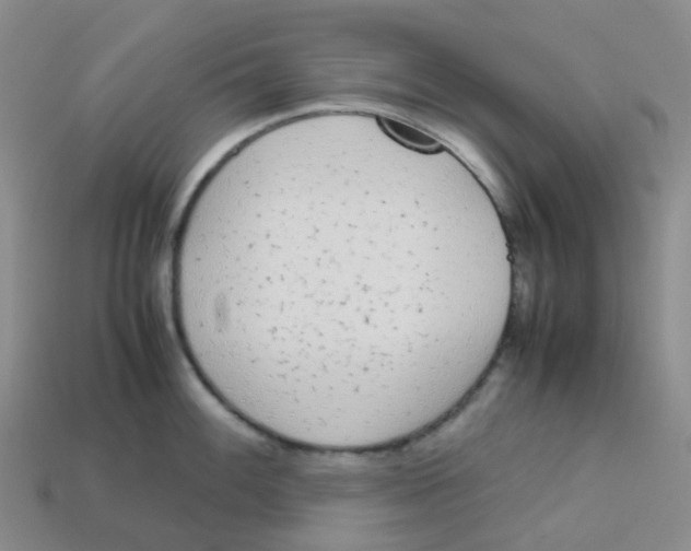 X0000113331100200910131143