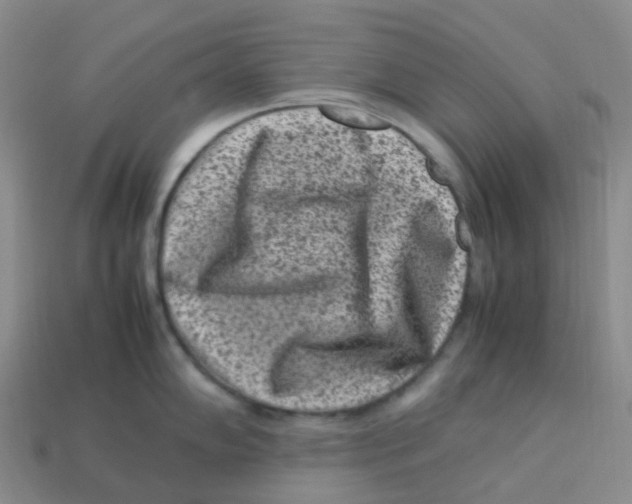 X0000113331102200910131143