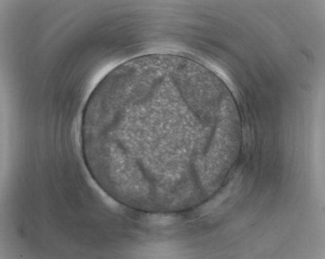 X0000113331103200910131143