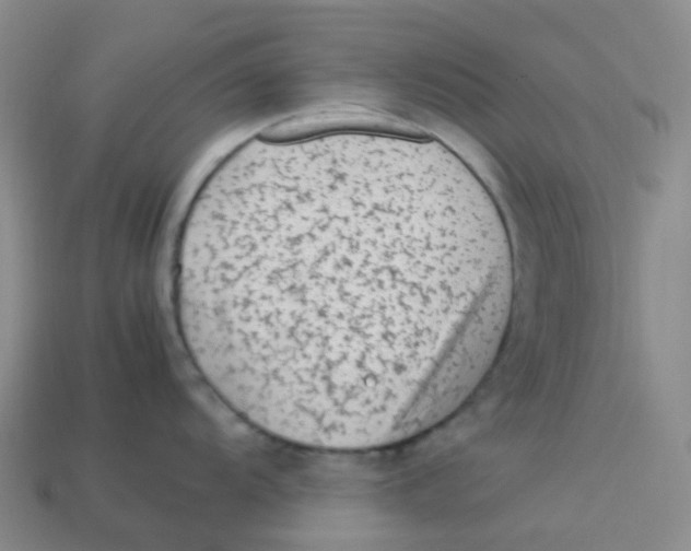 X0000113331104200910131143