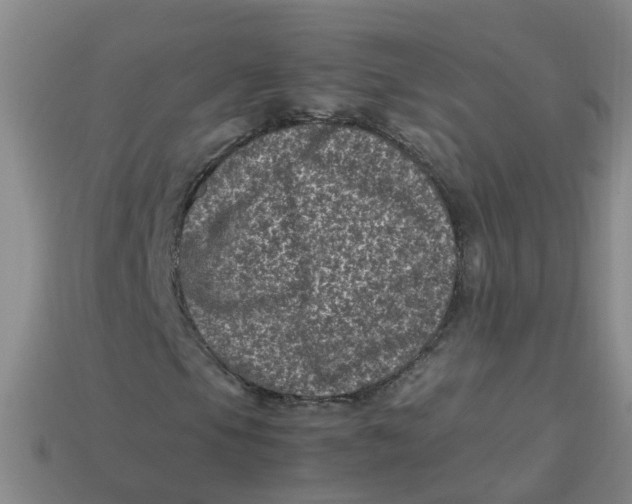X0000113331105200910131143