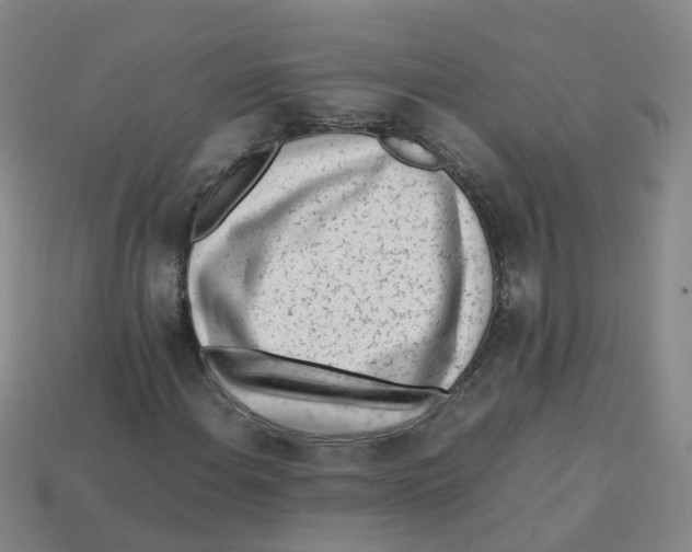 X0000113331108200910131143