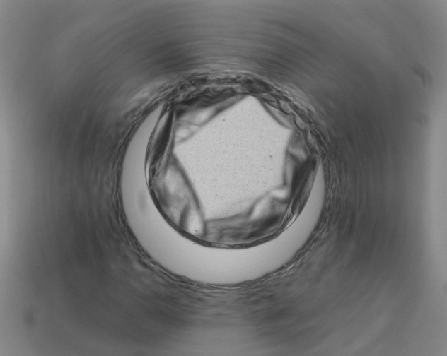 X0000113331110200910131143