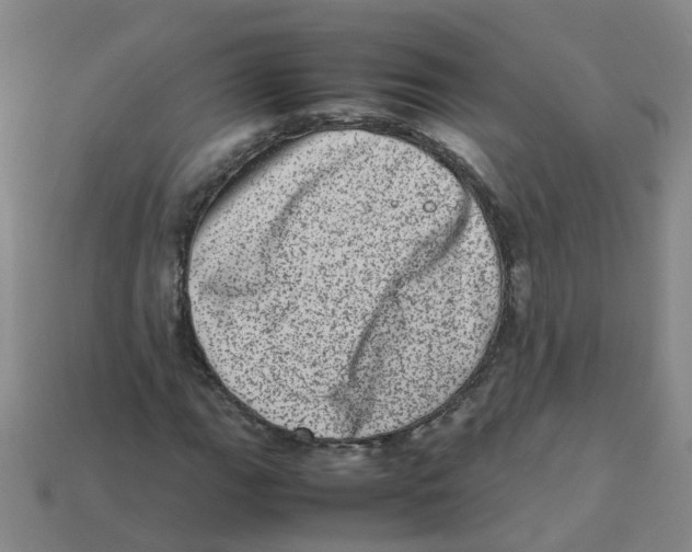 X0000113331111200910131143