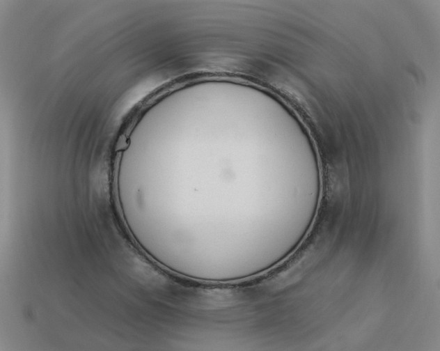 X0000113331114200910131143