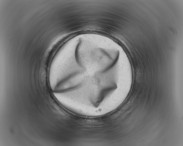 X0000113331115200910131143