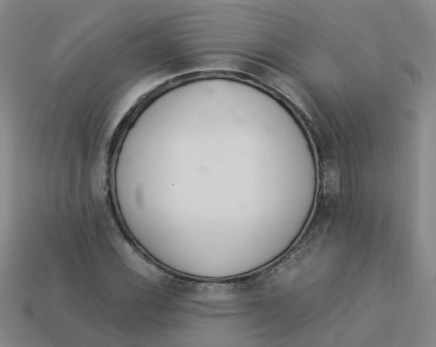 X0000113331116200910131143