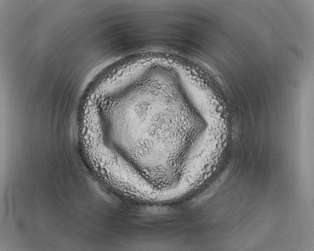 X0000113331117200910131143