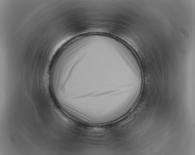 X0000113331119200910131143