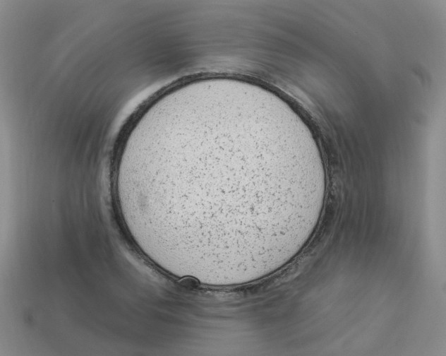 X0000113331120200910131143