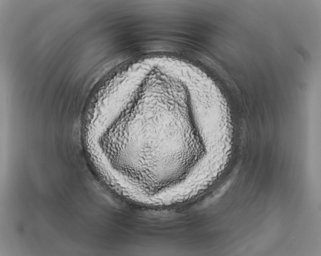 X0000113331121200910131143