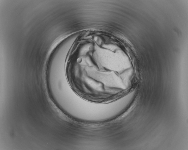X0000113331122200910131143