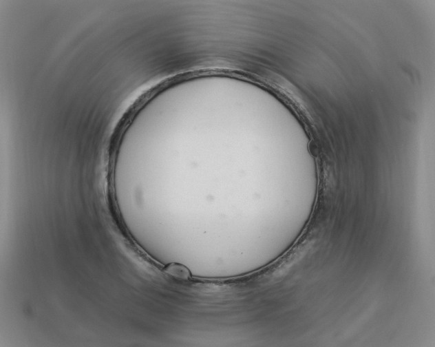 X0000113331124200910131143
